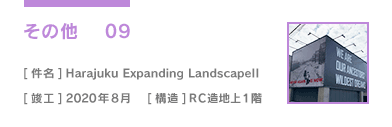 ̑09 Harajuku Expanding LandscapeII